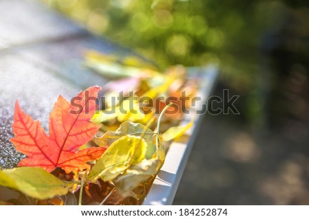 Gutter full of fall leaves Gutter full of fall leaves