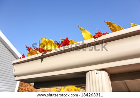 Colorful fall leaves in the gutter on a roof