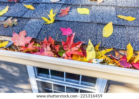 Colorful fall leaves in the gutter on a roof