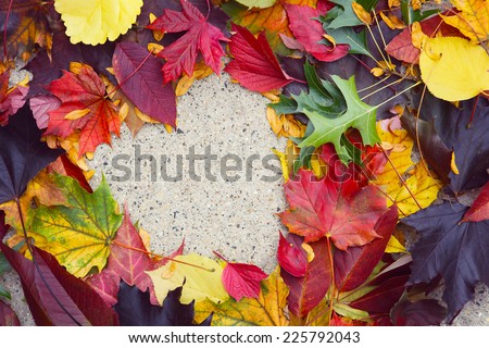 Heart in autumn leaves on the sidewalk.  Main focus on the leaves