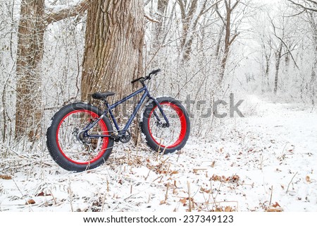 Winter biking. Fat Tire Bike.