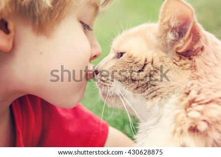 Best friends, boy kissing his cat