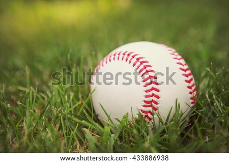 a baseball in the grass in the late afternoon sun
