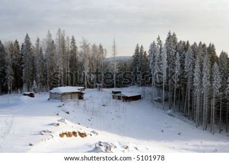 Solar winter day. The small house on a hill in an environment of a pine wood. On a snow before the house traces from skis