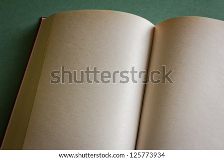 Open aged book with clear pages for your text