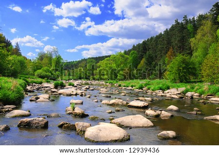 Silent Bank Stock-photo-landscape-with-calm-river-with-stones-vivid-green-forest-banks-and-bright-blue-sky-12939436