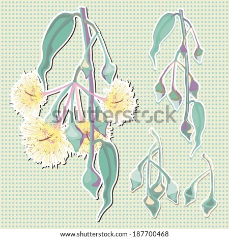 Eucalyptus flower yellow vector