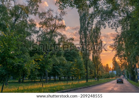 Urban boulevard at sunset in summer