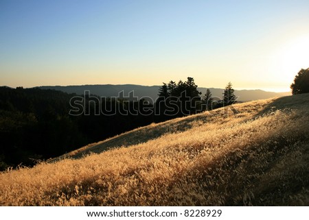 Setting sun over golden hills