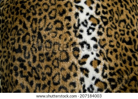 Animal leopard print fur pattern - fabric