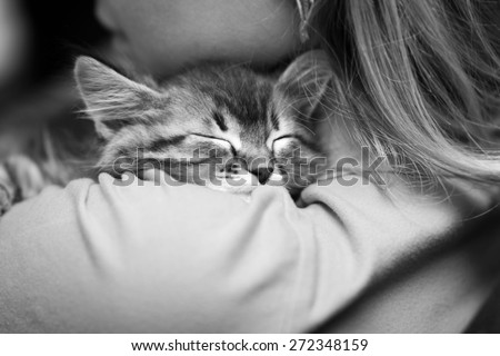 black and white photo of a kitten sleeping