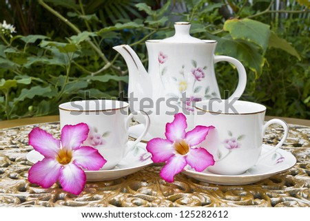 Tea for Two in the Garden with Desert Rose Flower on Golden Deco
