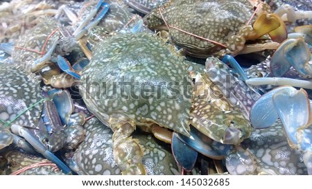 Flower crab blue, pile up in supermarket close up