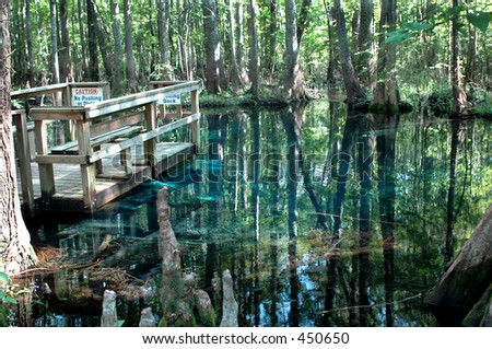 The swimming dock overlooks Little Blue Spring in High Springs, Florida.