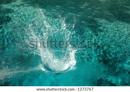 A swimmer splashes into the crystal clear water of Blue Spring in High Springs, Florida.