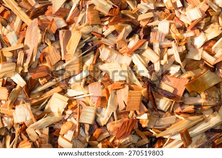 A texture shot of fresh wet garden wood chips or mulch with morning sunshine.