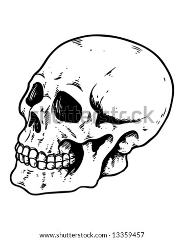 stock vector side profile skull