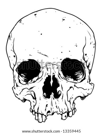 stock vector toothless skull vector