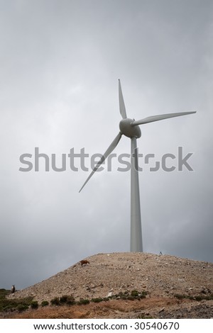 Mountain area in Crete (Greece) have few windmills to generate electricity. Goats seem to get along with these huge devices.
