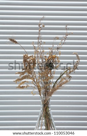 Still life with dried plants