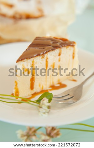 Piece of toffee cheesecake with crashed biscuits and caramel  on the top. Cheesecake was prepared with flour, white cheese, white sugar, vanilla sugar, eggs and butter.