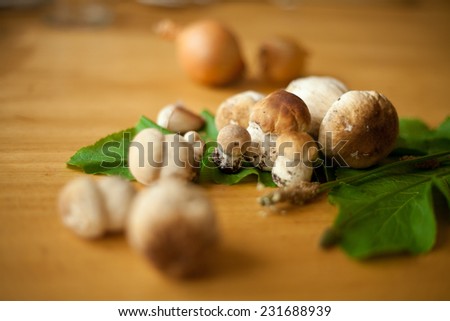 Porcini found in a forest durin Autumn. Presented on a green leaf on a wooden table. In a bowl boletus cut into pieces. Autumn in East Europe, organic food, mushrooms, fungus.