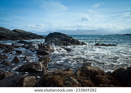 North Sea, seaside/ Rocks and sea. Holidays in Scotland. Landscape view. NAture, wildlife. Summer.