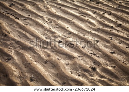 Sand beach. Paths on a sand after rising tide, high tide. Summer, holidays, Nature. Spain, Italy, Greece, Scotland. Nobody, background.