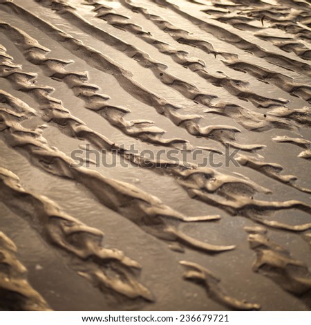 Sand beach. Paths on a sand after rising tide, high tide. Summer, holidays, Nature. Spain, Italy, Greece, Scotland, Cramond. Nobody, background.
