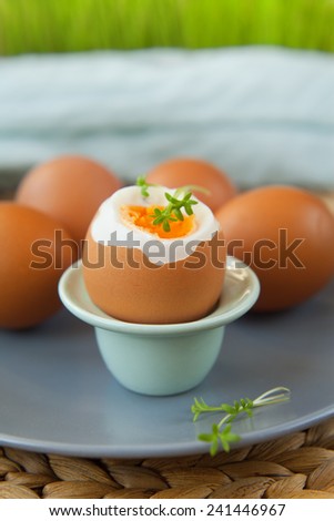 Hard-boiled eggs are presented on grey plate put on straw table mat. Typical meal for Easter. Whole is decorated with green cress twig.