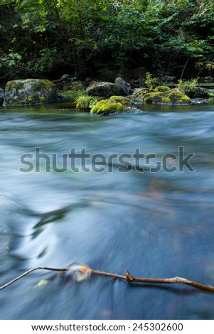 Rapid stream, brook, creek, river in mountains. Blue, turquoise water. Plants and rock on bank, riverside. Summer, walking, holidays, active, macro perspective, nobody.