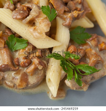 Pasta with creamy chanterelle mushrooms sauce and pork meat. Decoration with fresh parsley. Natural color background. Restaurant, food, nobody, macro perspective