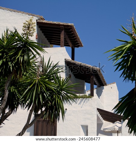 Traditional spanish architecture. White buildings in Spain. Houses, street view, traditional street in Spain. Typical plant and flowers for Spain- palms. Holidays, summer, Europe. Nobody.