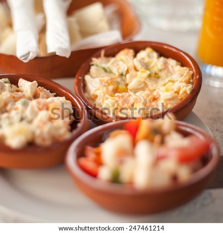Traditional spanish tapas. Selection of small plates with different meals like salads, meat and sea food. Traditional food, macro perspective, nobody.