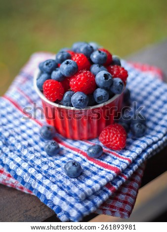 Red cup with wild fruits like blueberry and raspberry. All on the blue and red background.