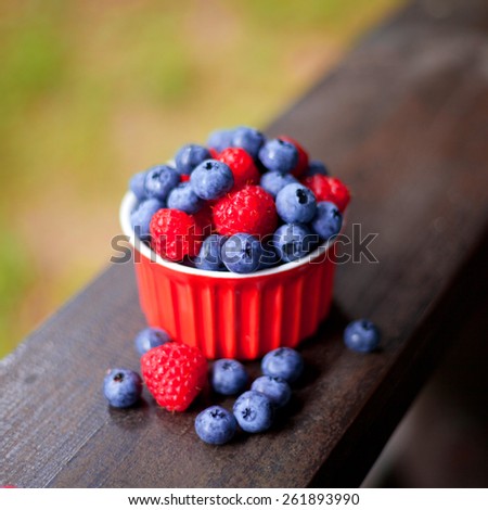 Red cup with wild fruits like blueberry and raspberry. All on the blue and red background.