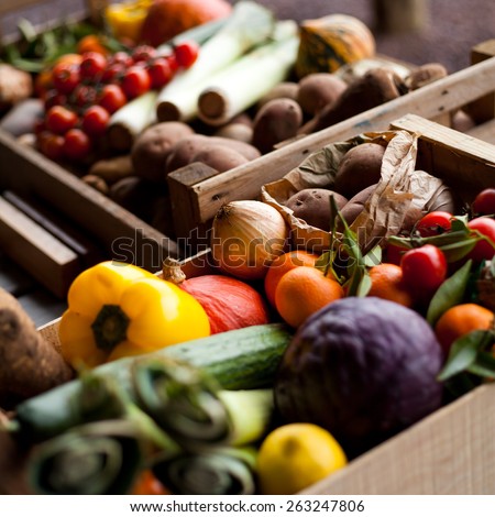 Fresh vegetables in boxes, baskets. Tomatoes, cucumber, potatoes, cabbage, pepper, pumpkin, clementines, onions and leeks. Spring, summer products, seasonal vegetables. Garden market.