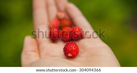 wild strawberry in hand