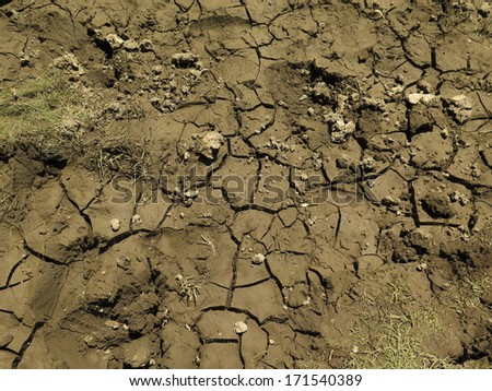 Cracked soil caused by wrong management of agriculture. Clays are contracted.