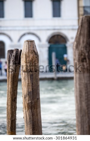 Detail of wooden pole of Venecian canals.