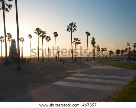 Palm tree shadows playing across the Venice Beach bike path at sunset