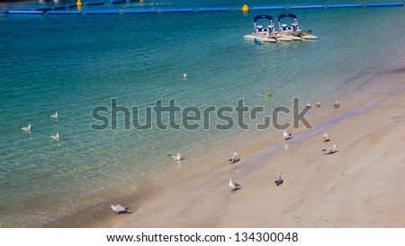 DUBAI, UAE - FEBRUARY 03: Water bikes at the beach beside the area where the Burj Al Arab and Jumeirah Beach Hotel are located, on February 03, 2013. The beach was previously called Chicago Beach.