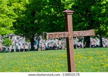 Wooden red cross in a cemetary, with grass full of dandelions