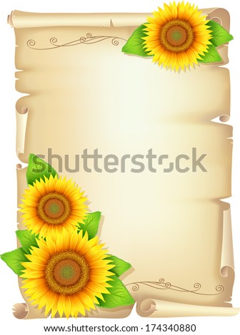 Old scroll with sunflower yellow flowers sunflower with leaves, holiday background