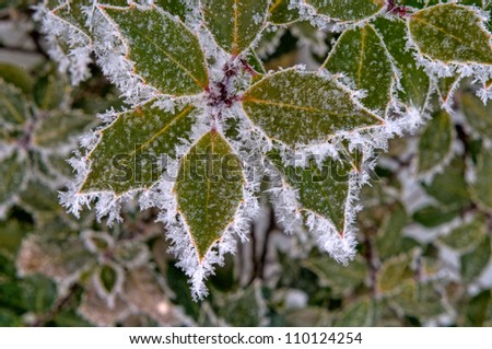 Hoar frost is formed when a surface falls below the dew point and it is cold enough to freeze.