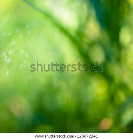 Vibrant Green Background Texture  of Blurred Reed Leaves