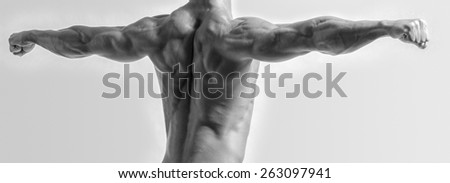 Bodybuilder showing his back and biceps muscles isolated on a white background, personal fitness trainer. Strong man flexing his muscles