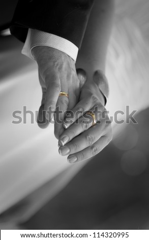 Wedding gold rings fit on hands`s bride and groom
