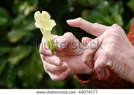 Senior woman with rheumatoid arthritis pointing at a flower she is holding