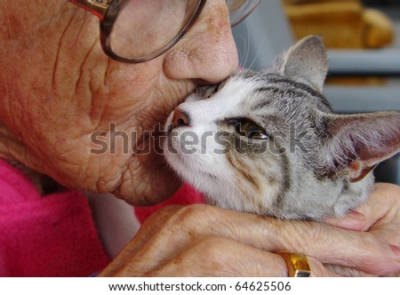 Pet therapy series. Beautiful silver tabby and white kitten being kissed by an elderly rest home resident